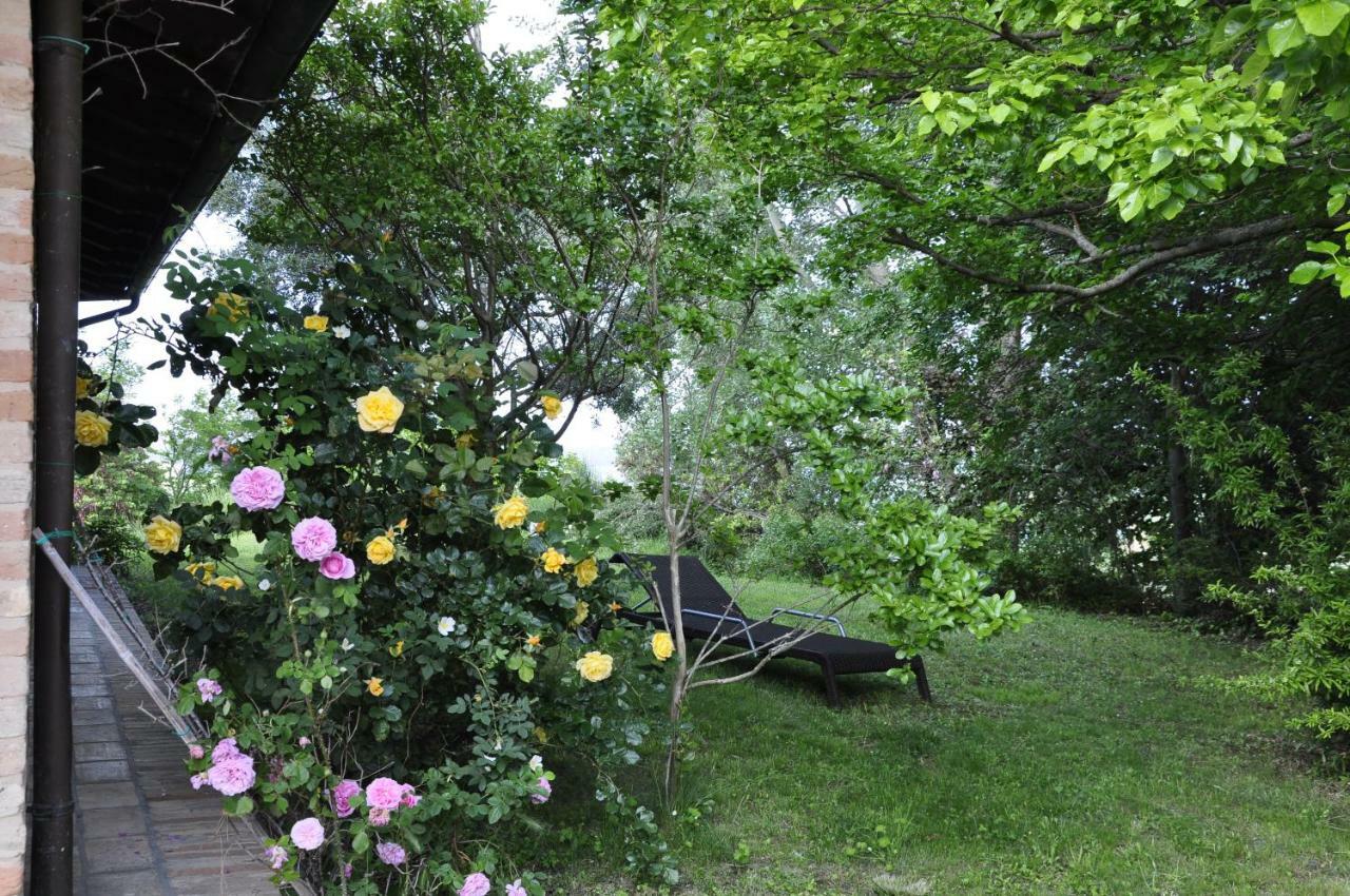 Luci Sui Monti Bed and Breakfast Sarnano Eksteriør billede